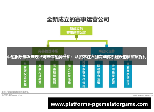 中超俱乐部发展现状与未来趋势分析：从资本注入到青训体系建设的多维度探讨
