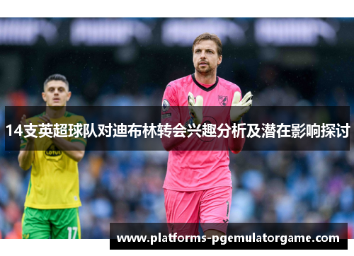 14支英超球队对迪布林转会兴趣分析及潜在影响探讨