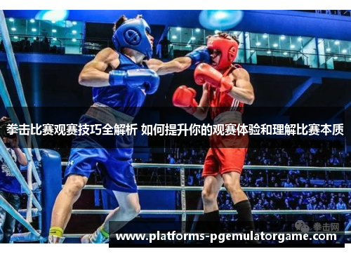 拳击比赛观赛技巧全解析 如何提升你的观赛体验和理解比赛本质