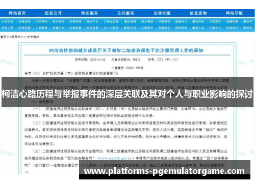 柯洁心路历程与举报事件的深层关联及其对个人与职业影响的探讨