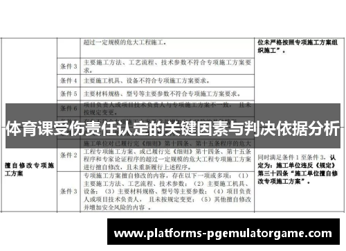 体育课受伤责任认定的关键因素与判决依据分析