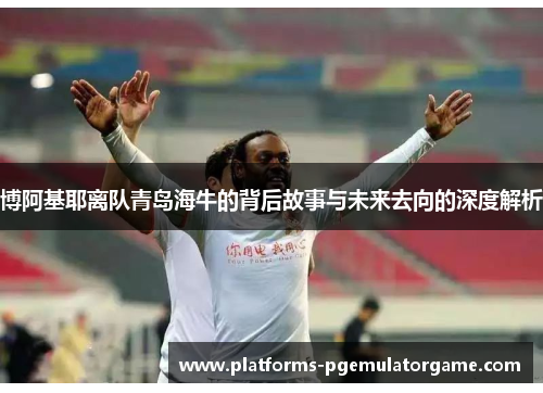 博阿基耶离队青岛海牛的背后故事与未来去向的深度解析