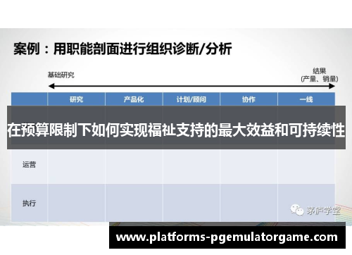 在预算限制下如何实现福祉支持的最大效益和可持续性