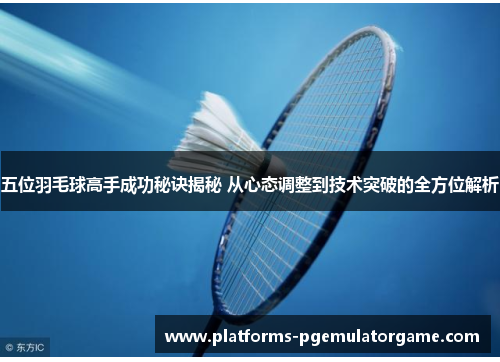 五位羽毛球高手成功秘诀揭秘 从心态调整到技术突破的全方位解析
