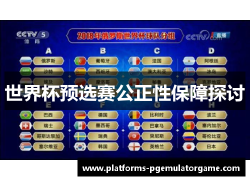 世界杯预选赛公正性保障探讨