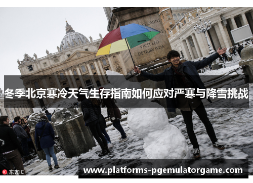 冬季北京寒冷天气生存指南如何应对严寒与降雪挑战