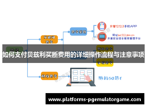 如何支付贝兹利买断费用的详细操作流程与注意事项