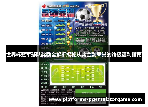 世界杯冠军球队奖励全解析揭秘从奖金到荣誉的终极福利指南