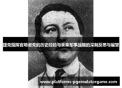 捷克指挥官哈谢克的历史经验与未来军事战略的深刻反思与展望