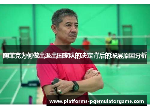 陶菲克为何做出退出国家队的决定背后的深层原因分析