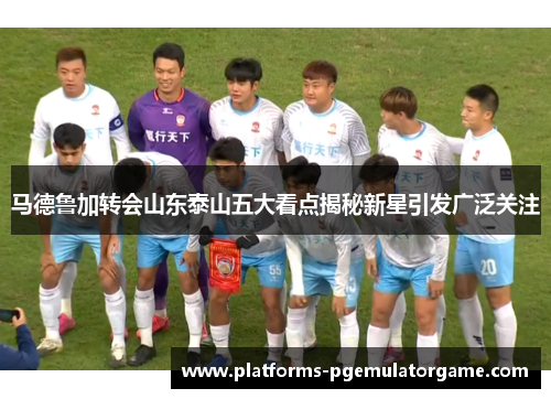 马德鲁加转会山东泰山五大看点揭秘新星引发广泛关注