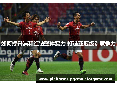 如何提升浦和红钻整体实力 打造亚冠级别竞争力 如何提升浦和红钻整体实力 打造亚冠级别竞争力