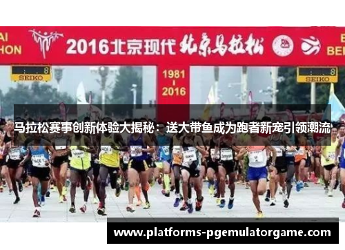 马拉松赛事创新体验大揭秘：送大带鱼成为跑者新宠引领潮流