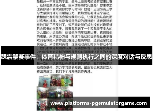 魏震禁赛事件：体育精神与规则执行之间的深度对话与反思